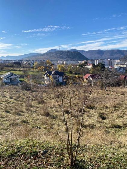 Vand teren darmanesti - 2