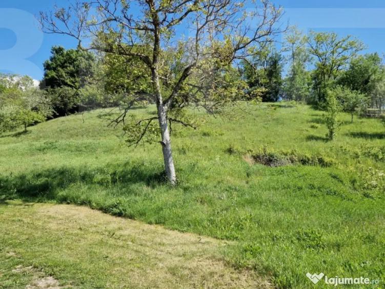 Casa de Familie | 175 mp + Curte 3166 mp | Tatara?ti, B - 7