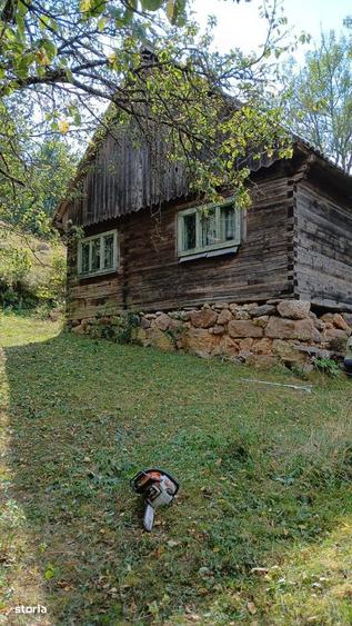 De vanzare casa cu teren Albac 5000m2 - 3