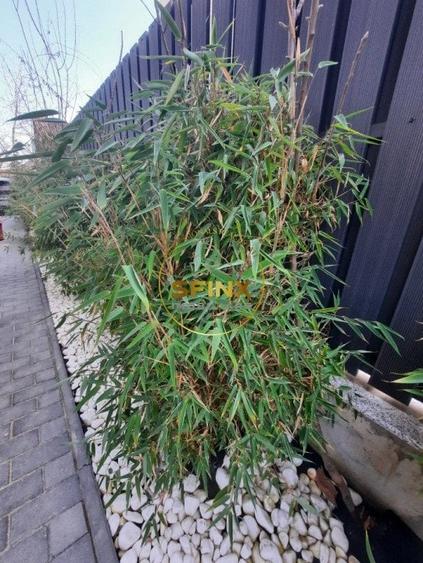 Iancu Nicolae Jolie Ville, vila noua, 7 camere, 4 locuri de parcare - 54