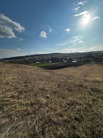 Teren extravilan 9000 mp Corușu, Baciu – acces drum,  acces apa curgatoare - 10