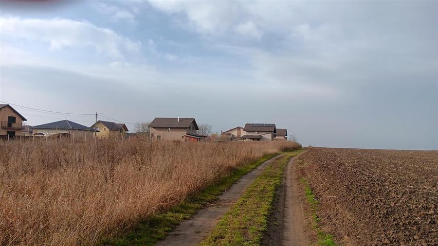 Aroneanu str Viisoarei TEREN 2 loturi x 650 mp. Intravilan cu utilitati zona con - 5