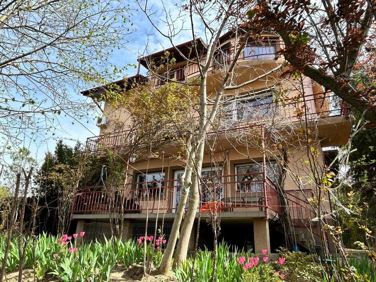 Casă individuală Buftea, 3.162 mp teren, ieșire spre lac - 1