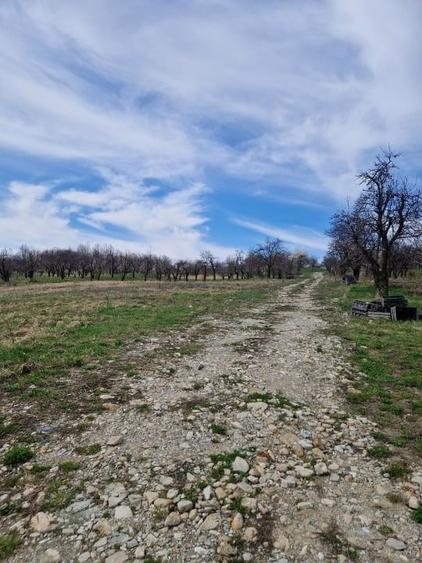 Teren de vanzare Breaza de Jos -DJ 710 - 1