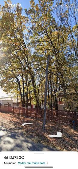 Spatii de inchiriat GURA OGNITEI - 4