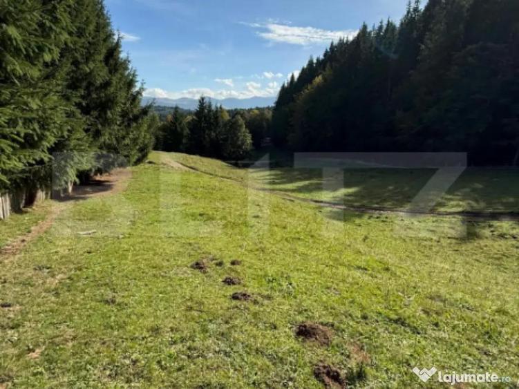 Teren intravilan 28 Ari zona Colibita - 2