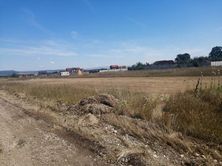 Teren de vanzare Harman. - 3