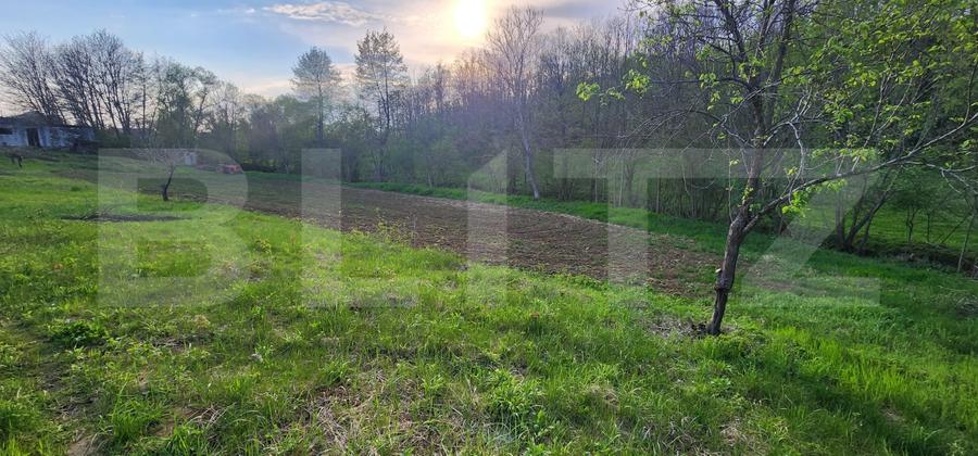 Teren 6650 mp, cu casa nefinalizata de 111 mp, in Nisipoasa. - 3