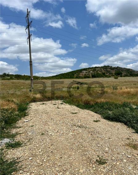 RECO teren de in zona Betfia - 2