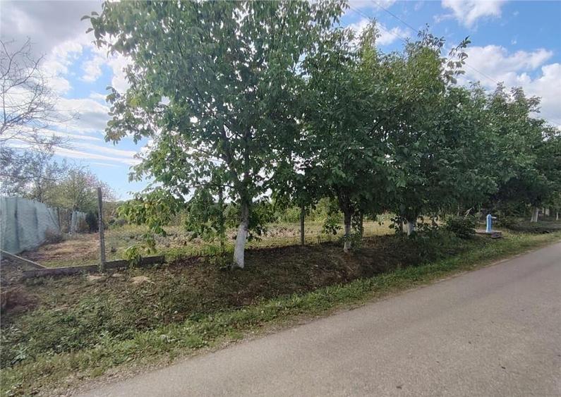 RECO teren intravilan in Saliste de Beius - 2