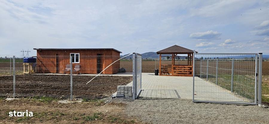 Teren cu casuta si foisor de vanzare Harman, Brasov - 9