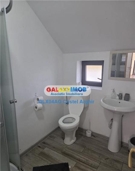 Inchiriem vila in Budeasa, mobilata si utilata - 15