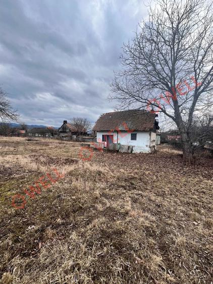 De vânzare teren intravilan în Pachia! - 4