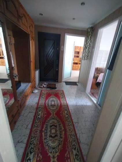 2decomandat -sensul giratoriu la delfini - 5