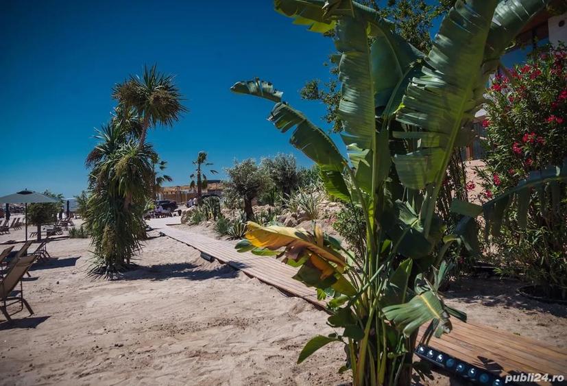 Vand Studio Vogh Olimp - 2