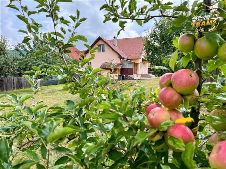 Tur 3D! Resedinta notabila,pe armonios cadru natural,distinse faciliati,Central, - 1