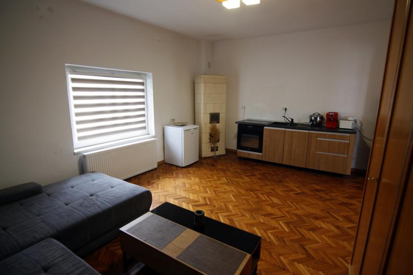 Proprietate renovata, ideala Apart-Hotel, Clinica, Birouri, curte generoasa. - 18