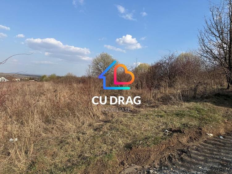 Teren intravilan cu toate utilitatile si drum amenajat Daia - 2