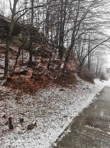 Teren intravilan situat in Busteni - 4