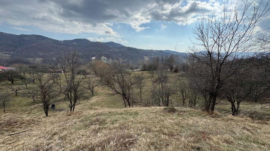 Teren intravilan + extravilan 9844 mp, Malu cu Flori, jud Dambovita - 5