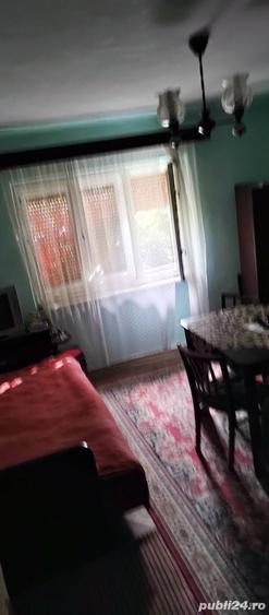 Cas de vinzare Cehu-Silvaniei - 5