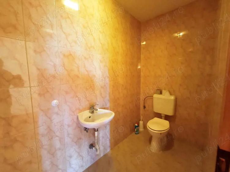 Proprietate rara,langa drumul judetean,Pecica - 1