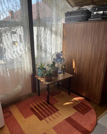 Casa Vladesti ?arina - 4