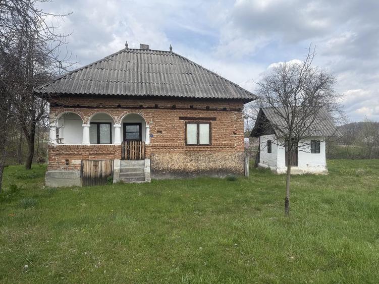 Vand casa batraneasca si teren - 5