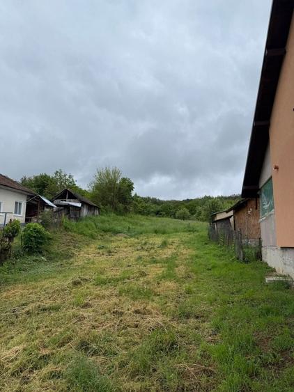 Teren de vanzare Pausesti Maglasi - 7