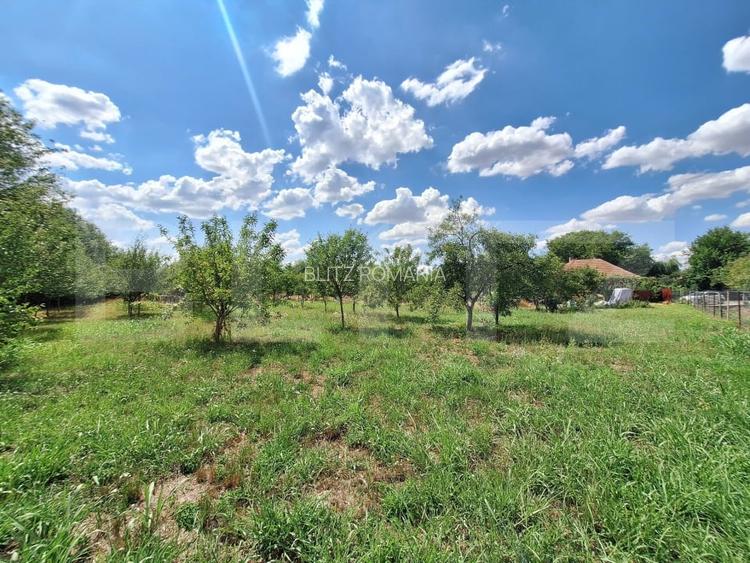 Casa cu teren intravilan, 4600 mp, investiitii/dezvoltare! Casa cu teren intravilan, 4600 mp, investiitii/dezvoltare!
