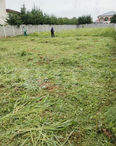 Teren casa individuala, Dumbravi?a - 2