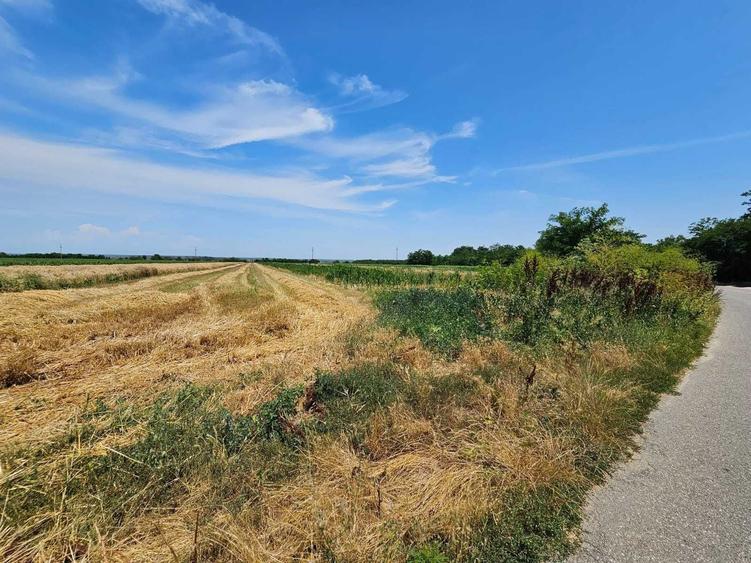 Teren intravilan de vanzare in Potlogeni Vale la 6 km de Oras Gaesti - 7