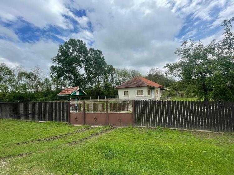 Casa de vanzare in Alimpesti, Gorj - 8