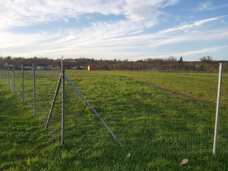 Casa+Teren intravilan de vanzare in Bichigi,jud.Timis, de la PROPIETAR - 5