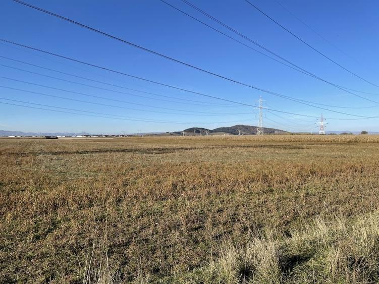 Teren intravilan Triaj - 2