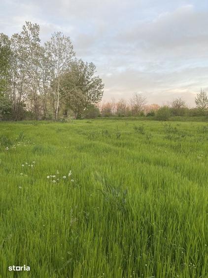Teren -parcelabil Terenul se parceleaza- Leamna de Jos 2750 mp - 3