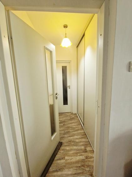 Casa cu suflet in centrul Medgidiei– gradina superba - 24