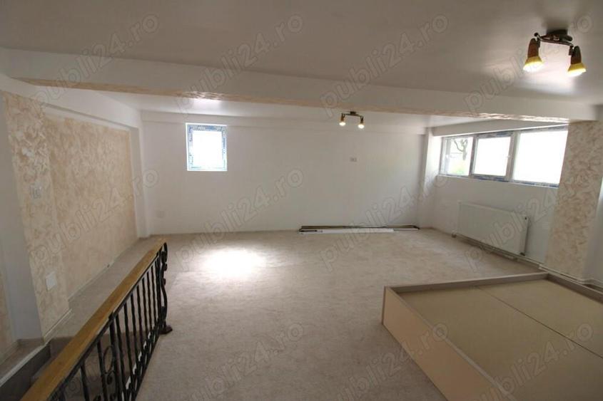 Spatiu comercial in I C Frimu - 3