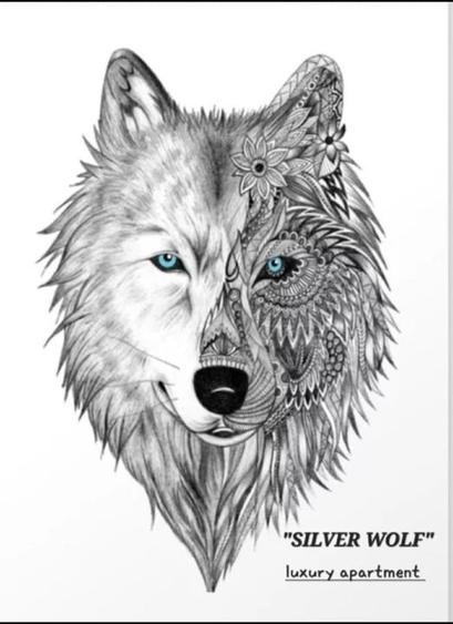 apartament 2 camere Brasov - 1