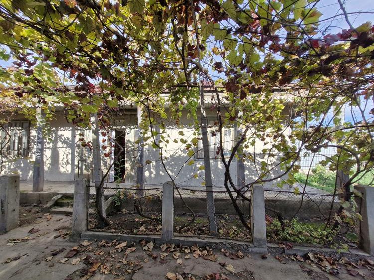 Casa 4 camere + teren 1444 mp ingradit - 8