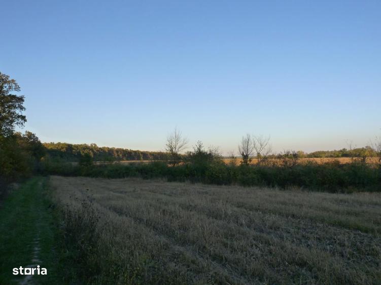 Inchiriere/vanzare 1800-25.000 euro/ha,90ha Contesti direct proprietar - 3