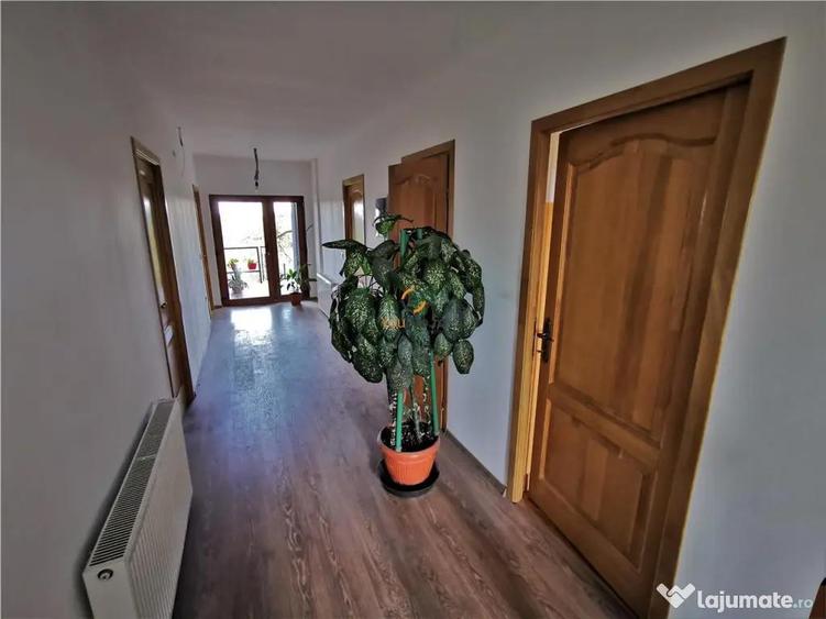 Vila Deosebita Rudicica - 1