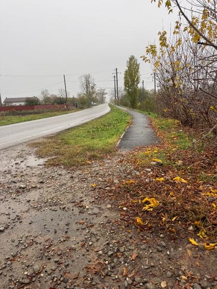 Loturi 500 mp Buftea-Darza cartier nou - 1