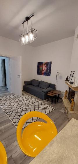 Casa singur curte langa parcul Herastrau - 2