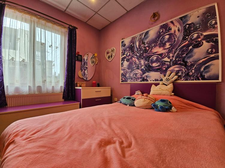 Coiciu Casa de Vanzare Casa din Vis P+M Parcare in Curte - 49