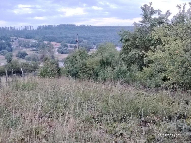 Casa cu teren 23 ari in Darmanesti, jud Suceava - 3