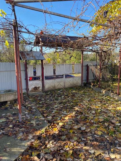 Casa de vanzare in Burila Mare - 4