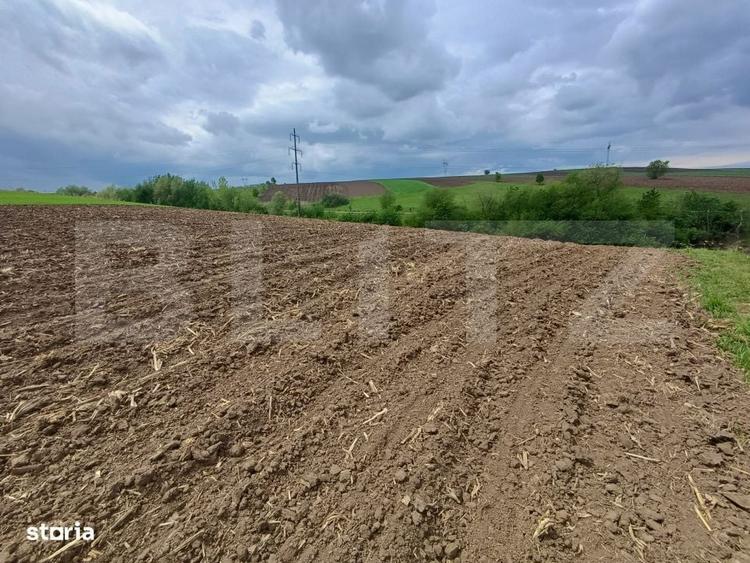 Teren de vanzare extravilan, 50 ari, Cumparatura - 2