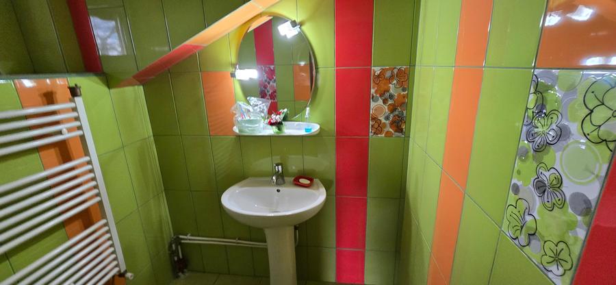 Service auto si vila de locuit Unirea Odobesti - 22