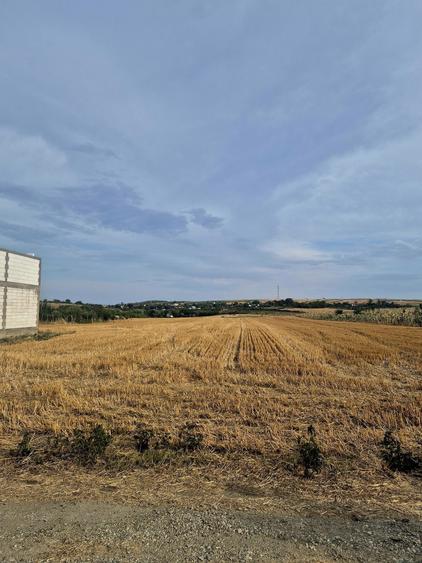 Vand teren intravilan Bals(Vartina), Olt - 4